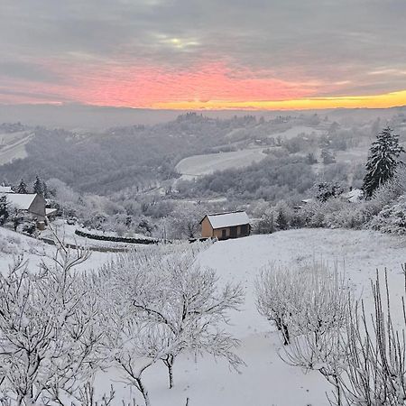 Wine Panorama House Villa Jastrebarsko Bagian luar foto