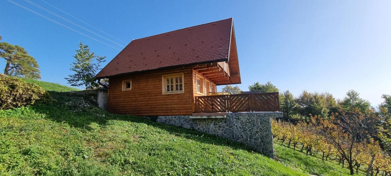 Wine Panorama House Villa Jastrebarsko Bagian luar foto
