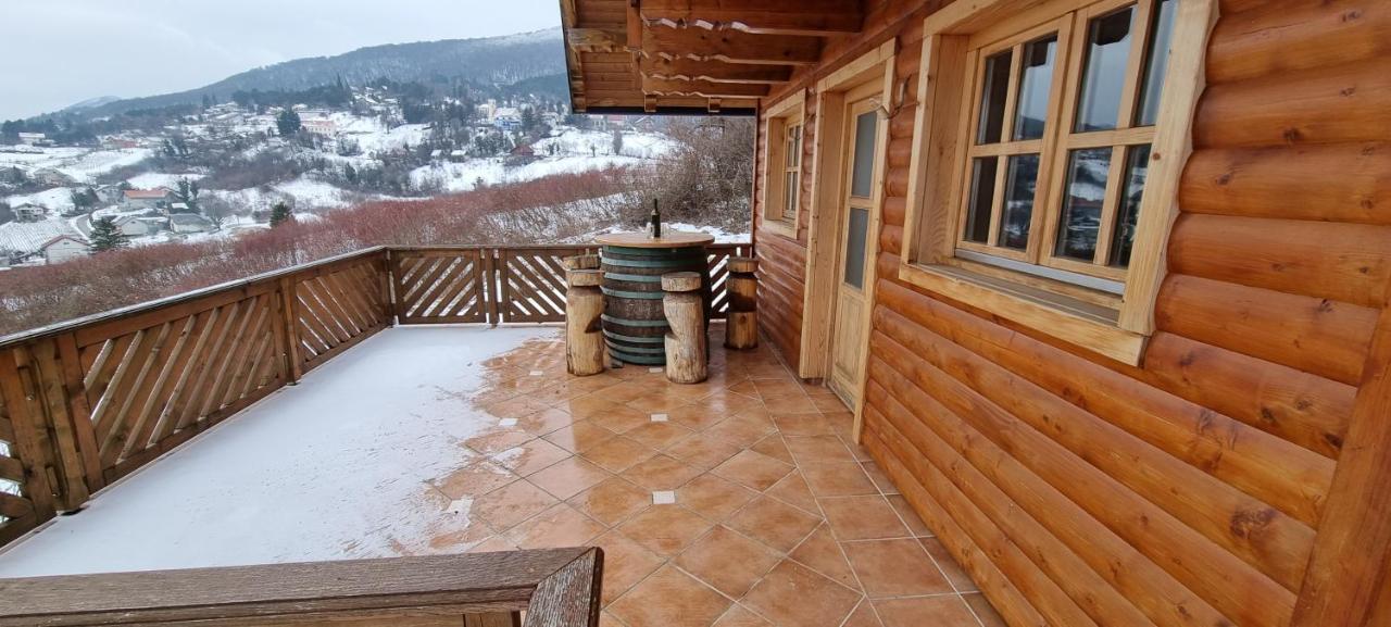 Wine Panorama House Villa Jastrebarsko Bagian luar foto