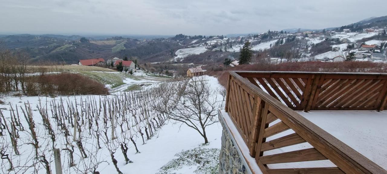 Wine Panorama House Villa Jastrebarsko Bagian luar foto
